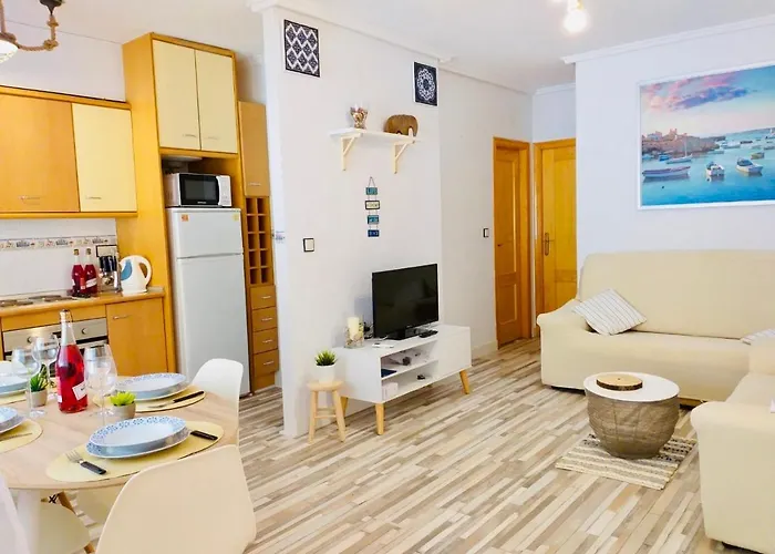 Mediterranean House 公寓 格兰阿利坎特