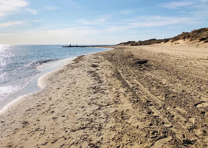 公寓 Mediterranean House 格兰阿利坎特