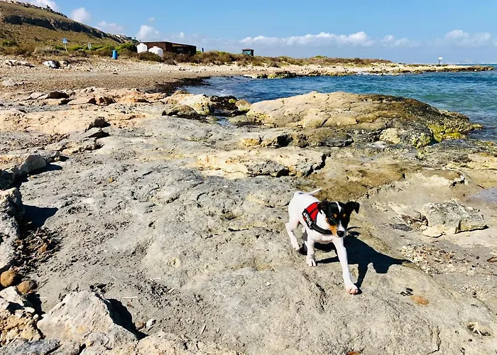 公寓 Mediterranean House 格兰阿利坎特