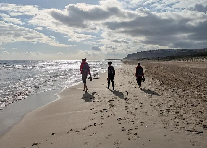 Mediterranean House 公寓 格兰阿利坎特